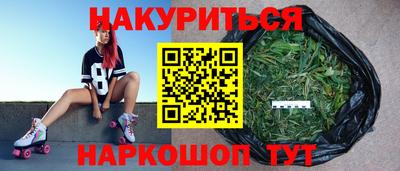 шишки Апшеронск