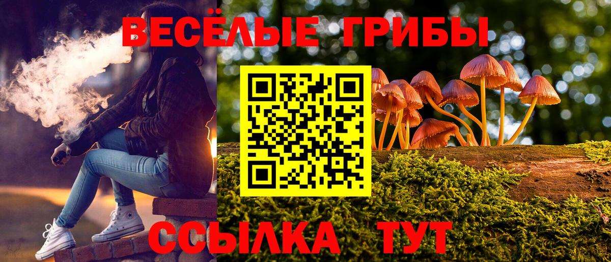 Псилоцибиновые грибы Magic Shrooms  Вход с VPN  Вольск 